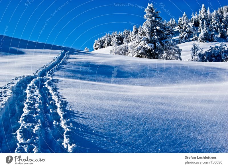 Tracks in the snow Austria Winter Mountain Snowscape Federal State of Tyrol Deep snow Winter forest Snow track serfaus ski resort winter village