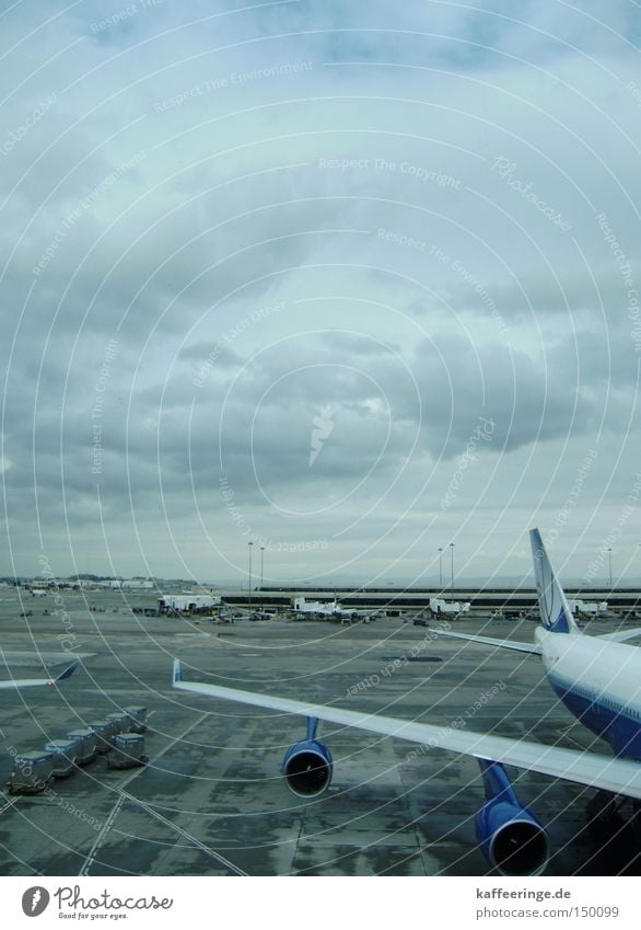 SFO International Airport San Francisco California USA Airplane Sky Clouds Gray Blue Cold Runway Gate