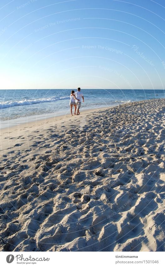 loving couple walking on the sandy beach in a sunny day Lifestyle Joy Walking Vacation & Travel Freedom Summer vacation Valentine's Day Family & Relations