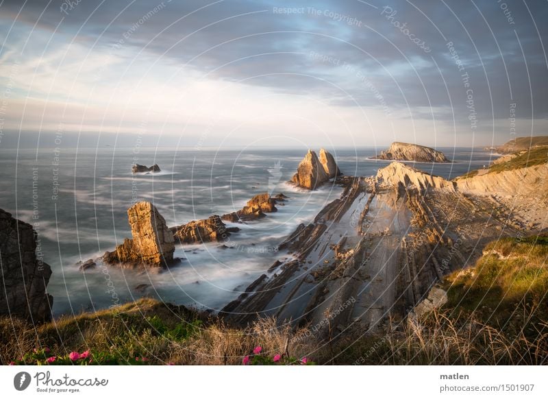 Liencres Nature Landscape Plant Water Sky Clouds Horizon Sunrise Sunset Summer Beautiful weather Wind Flower Grass Hill Rock Coast Beach Reef Ocean Exceptional