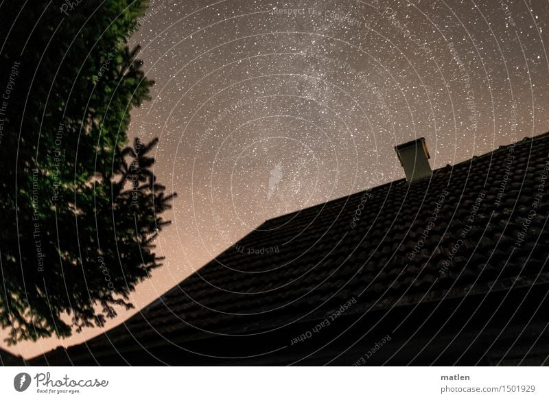 right behind the house Landscape Plant Sky Cloudless sky Stars Weather Beautiful weather Tree Deserted House (Residential Structure) Roof Chimney Brown Gray