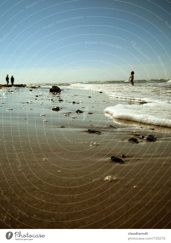 See the sea Ocean Beach Sand Waves Summer Vacation & Travel Horizon Human being Relaxation Baltic Sea Water Swimming & Bathing Coast little man