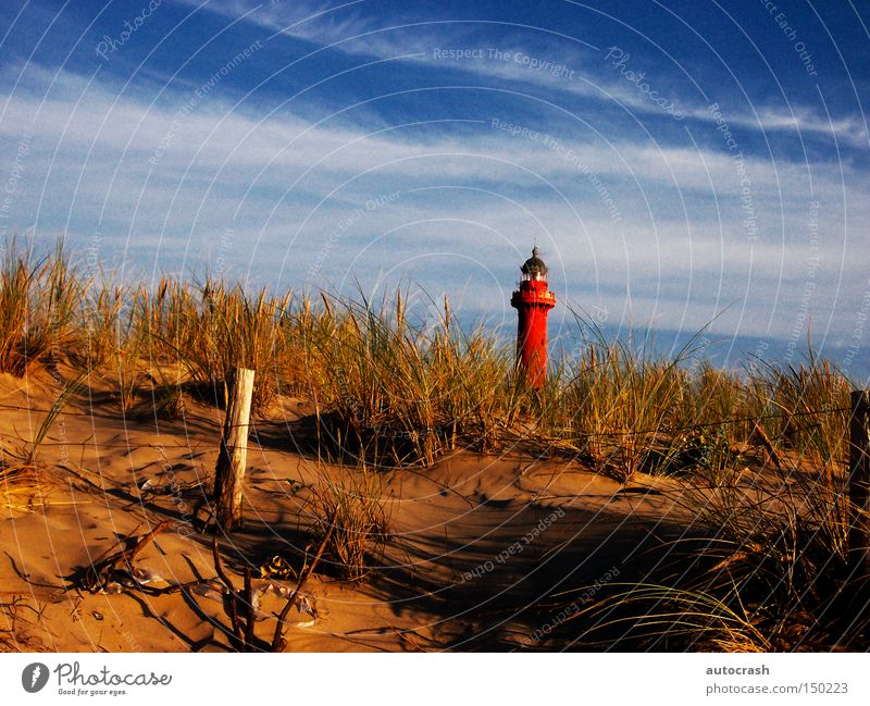 At the lighthouse Beach dune Dune Lighthouse Tower Coast Grass Harbour Summer