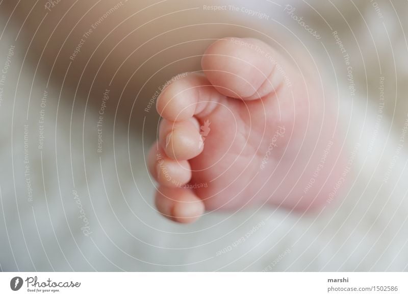 patch feet Human being Child Baby Toddler 1 Emotions Moody Joy Happy Enthusiasm Warm-heartedness Love Feet Offspring Small Delicate Considerate Newborn Detail