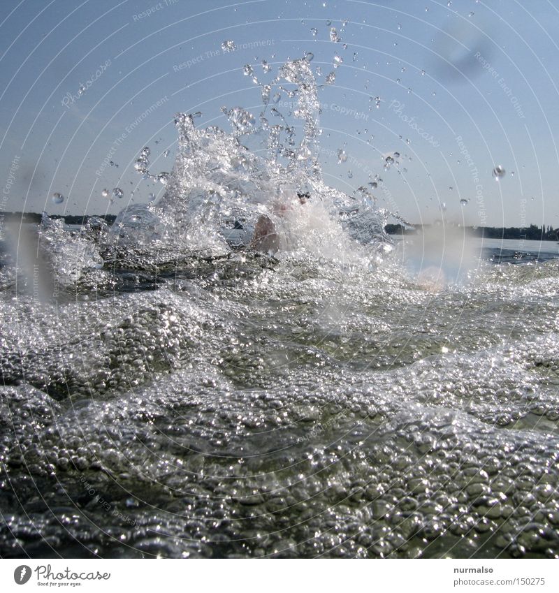 Splash! Water Jump Inject Drops of water Wet Summer Springboard Lake Joy Brandenburg Refreshment Swimming & Bathing Swimming trunks Leisure and hobbies Seasons