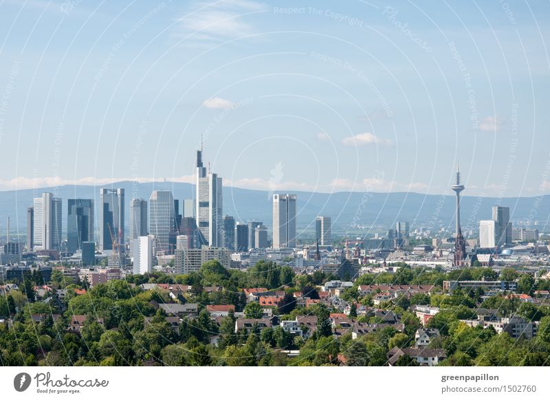 Frankfurt skyline with green belt Night life Going out Feasts & Celebrations Clubbing Dance Cycling Promenade To go for a walk Financial Industry Stock market