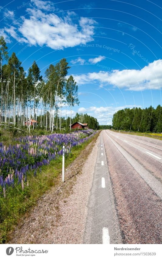 Värmland Vacation & Travel Landscape Summer Beautiful weather Tree Flower Village House (Residential Structure) Detached house Building Architecture Transport