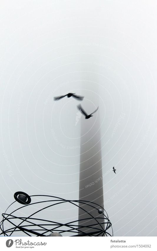 foggy l Fog Berlin Berlin TV Tower Alexanderplatz Television tower World time clock alex Capital city Deserted Clock Tourist Attraction Bird Flying Gray Black