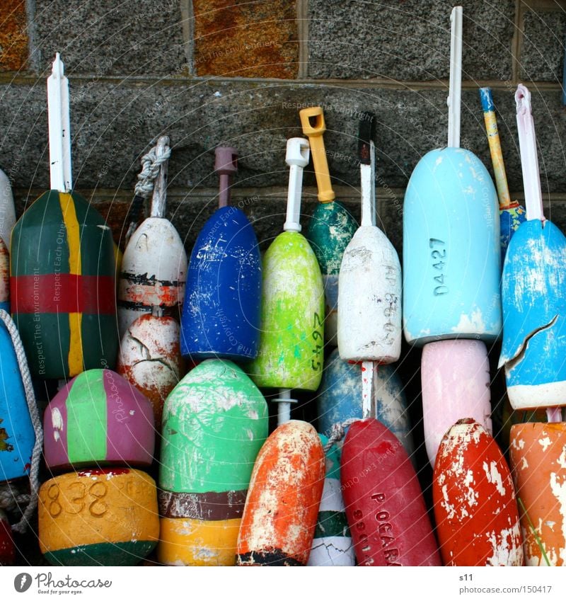 buoys Pontoon Multicoloured Leisure and hobbies Fishing port Watercraft Fisherman Ocean Colour Harbour collector Multiple