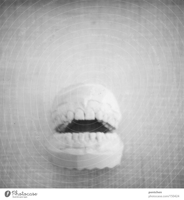 Plaster cast of a denture. Dental Health Polaroid Healthy Human being Teeth Laughter Dentist Bite Jawbone Trenchant squeeze Set of teeth dental health