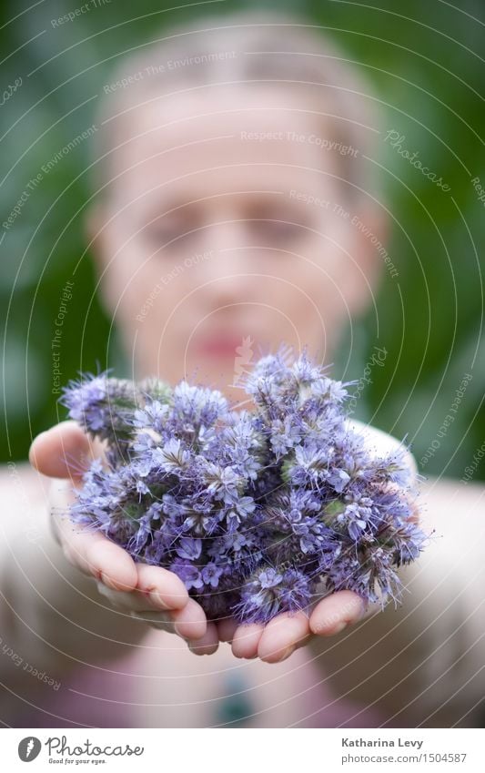 purple Wellness Harmonious Calm Fragrance Trip Summer Summer vacation Feminine Woman Adults Arm Hand 1 Human being Plant Flower Garden Field Blonde Relaxation