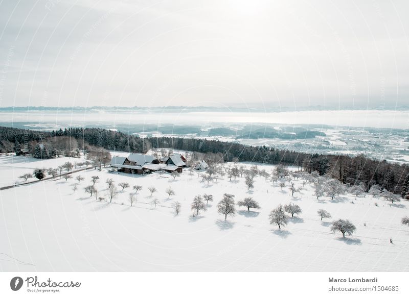 Winter in the Alps Environment Nature Air Sky Sun Climate Beautiful weather Snow Tree Hill Mountain Village Deserted Hiking Blue Turquoise White Optimism