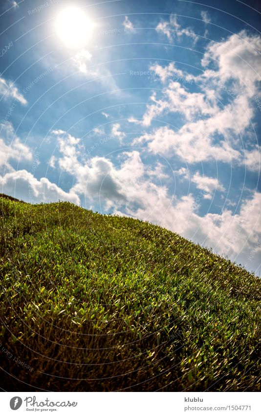 Meadow in spring Style Design Relaxation Summer Sun Nature Landscape Sky Clouds Grass Leaf Skyline Line Free Fresh Clean Blue Green White Peace field background