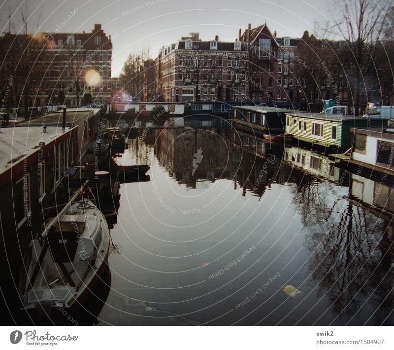 Amsterdam Tree Twigs and branches Western Europe Capital city Port City Downtown Populated House (Residential Structure) Building Houseboat Gracht Housefront