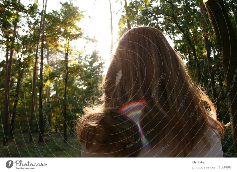 After rain comes sunshine again Woman Forest Red-haired Hair and hairstyles Sun Light Lighting Tree Green Bright Nature anja