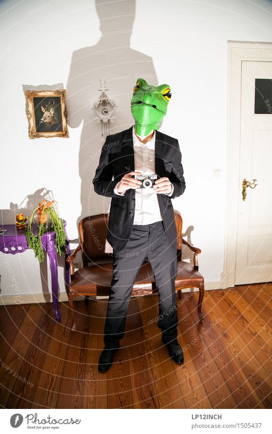 LP. Turtles. SECOND Elegant Style Living or residing Flat (apartment) Arrange Interior design Decoration Carnival Hallowe'en Masculine Man Adults 1 Human being