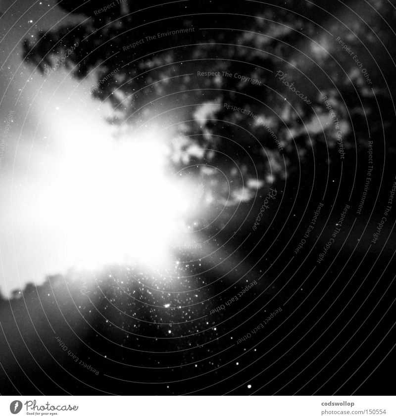 360 degrees and 2 pi radians Summer Celestial bodies and the universe Black & white photo sun shine reflection tree sunbeam light bright morning sunrise