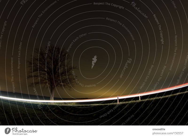 cornering light Tree Night Dark Motor vehicle Curve Bend Fisheye Pole Street Field Nature Transport Light Floodlight Car headlights Silhouette Yellow