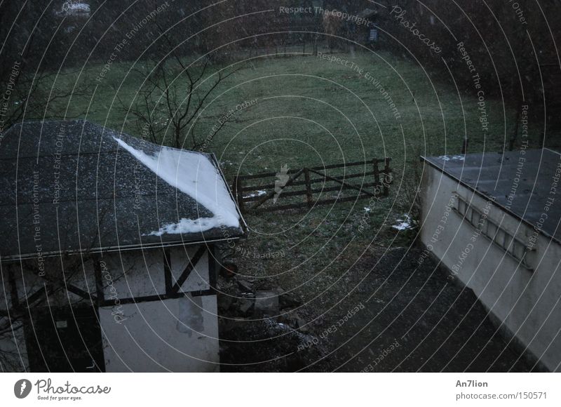 winter feeling Snow Winter Gray Cold Moody Fence Garage