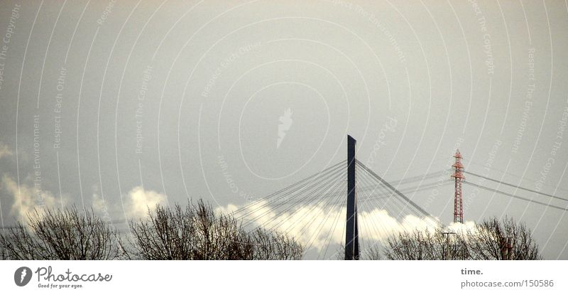 Smoking man, says Lukas Winter Sky Tree Bridge Smoke Sharp-edged Elegant Firm Historic Orderliness Carrier Dreary Twig Colour photo Subdued colour Exterior shot