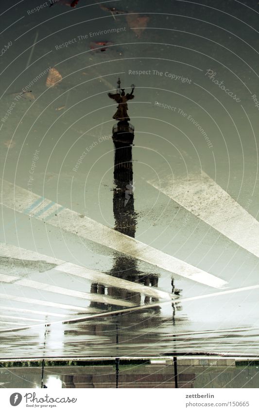 victory column Victory column Landmark Berlin Capital city Street Puddle Reflection Traffic lane Signs and labeling Autumn Rain Rotation Goldelse victory statue