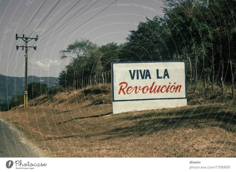 Viva la Revolución Vacation & Travel Tourism Far-off places Electricity pylon Environment Nature Beautiful weather Plant Tree Bushes Cuba Central America