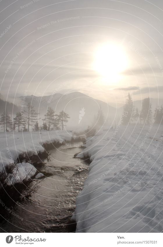 winter walk Nature Landscape Water Sky Sun Sunlight Winter Ice Frost Snow Hill Mountain Brook River Cold Beautiful To go for a walk Colour photo Subdued colour