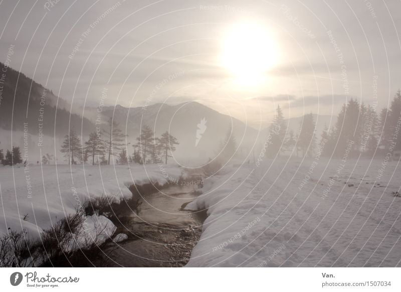 Winter wonderland Mountain Hiking Nature Landscape Water Sky Clouds Fog Snow Tree Alps Brook Cold Haze Colour photo Subdued colour Exterior shot Deserted