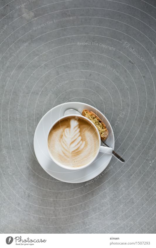 cappuccino Colour photo Studio shot Deserted Neutral Background Morning Day Light Shadow Bird's-eye view Beverage Hot drink Coffee Latte macchiato Espresso Food