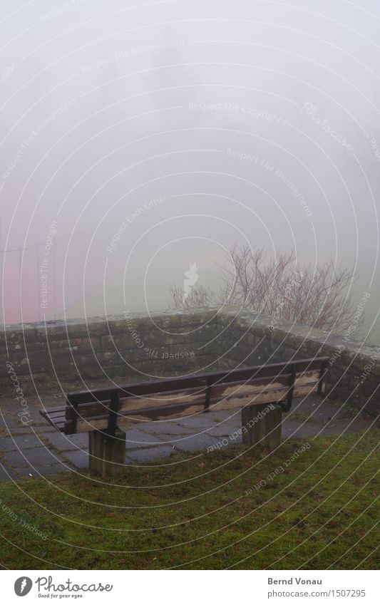 gallery Environment Nature Autumn Bad weather Grass Bushes Small Town Emotions Moody Sadness Vantage point Bench Damp Comfortless Wall (barrier) Above