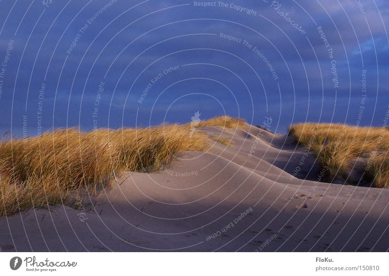 Danish dunes Colour photo Exterior shot Evening Twilight Sunrise Sunset Vacation & Travel Beach Ocean Sand Sky Clouds Sunlight Bad weather Storm