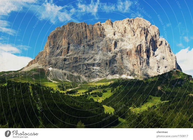 dolomites langkofel Colour photo Exterior shot Deserted Day Forward Mountain Hiking Climbing Mountaineering Meadow Alps Alpine pasture Italy Val Gardena