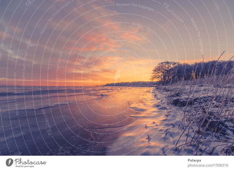 Frozen sea shore in Scandinavia Beautiful Sun Beach Ocean Winter Snow Environment Nature Landscape Plant Sky Clouds Tree Coast Lake River Freeze Dark Bright