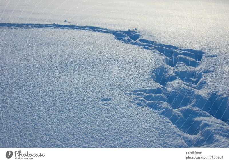 Your tracks in the ... Snow Powder snow Winter Tracks Footprint Animal tracks Lanes & trails Footpath Snowdrift Arch Bend tramp snow Snowshoe hiking not skiing