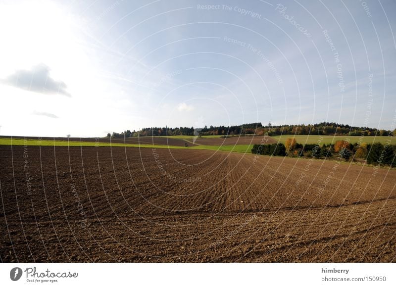 farmer looking for tractor Field Agriculture Ecological Organic produce Organic farming Sowing Grain Landscape Nature Earth Autumn Seasons Hesse Harvest