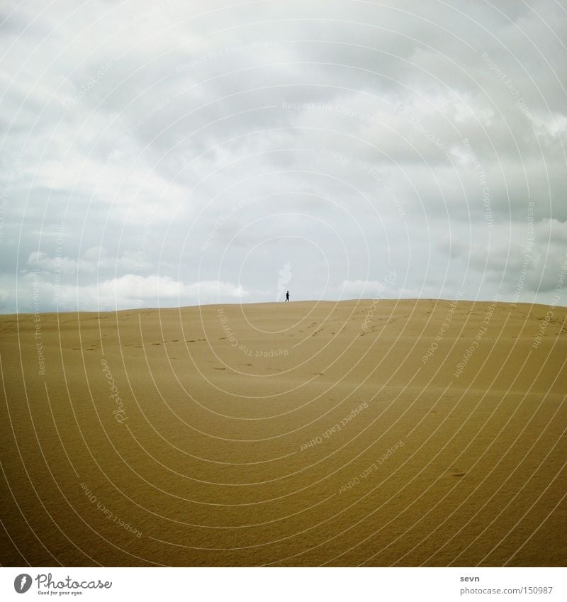 dune girl Beach dune Dune Sand Desert Australia Yellow Sky Clouds Grain of sand Waves Far-off places Large Small Hiking Playing