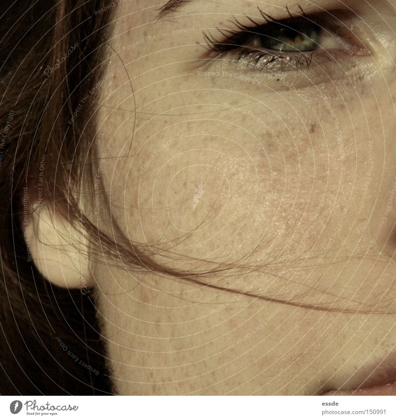 eyes - look Close-up Macro (Extreme close-up) Beautiful Hair and hairstyles Skin Face Eyes Ear Wind Brown Green Black Colour Strand of hair Eyelash Freckles