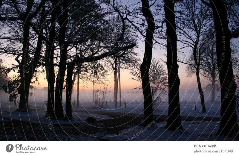 Impenetrable Winter Snow Sunset Fog Tree Sunrise Evening Morning Street Calm Nature Red Sky Highway ramp (exit) Perspective