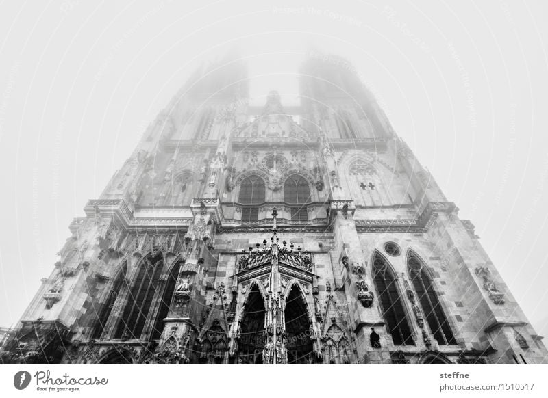 transcend Nature Winter Fog Regensburg Church Dome Facade Religion and faith God House of worship Transcendence Heaven Prayer Black & white photo Exterior shot