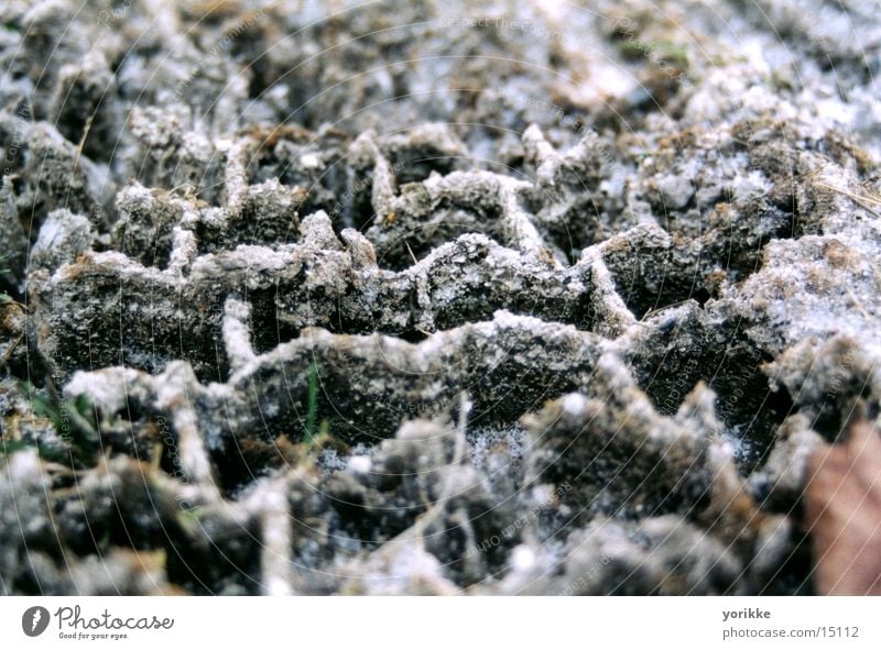 tyre marks Macro (Extreme close-up) Skid marks Cold Ice