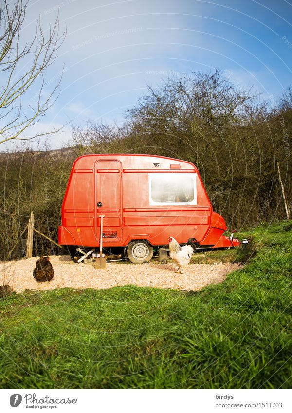 red mobile mini farm Lifestyle Living or residing Dream house Garden Nature Sky Autumn Winter Meadow Forest Caravan Barn fowl 2 Animal Spade Illuminate