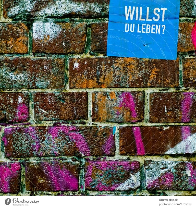 At a crossroads Assisted death Ask Wall (building) Wall (barrier) Brick Graffiti Transience Letters (alphabet) Characters price question