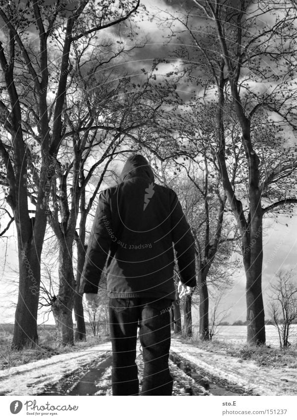 chill Human being Avenue Street Lanes & trails Tree Winter Cold Snow Black & white photo Hiking Sky Clouds Moody Branchage Gloomy