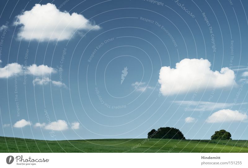 Green and blue ... Sky Meadow Tree Clouds Calm Summer Warmth Field Concentrate Waves Hill Relaxation Power