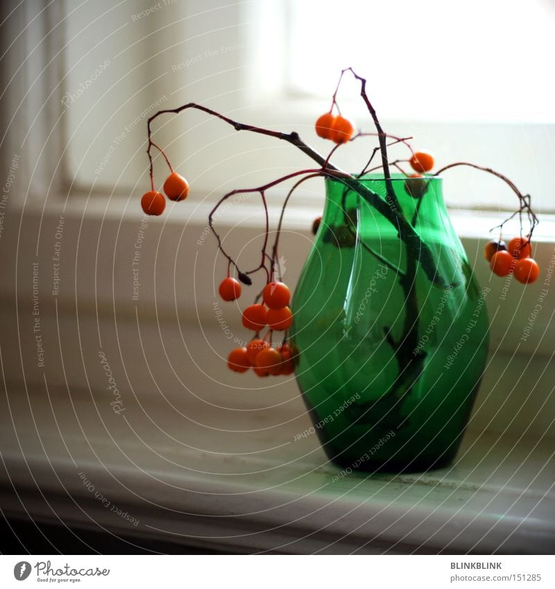 general partner Vase Window board Rawanberry Winter Still Life Green Orange Round Sphere Twig Reflection Glass Decoration Transience