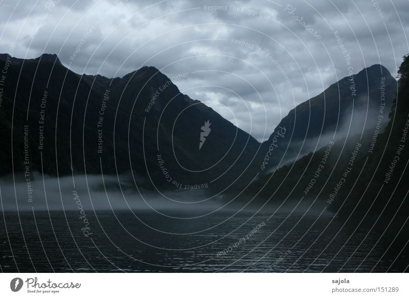 hanging out in the fjord Mountain Landscape Water Clouds Fog Fjord Dark Moody Mysterious New Zealand Mystic doubtful sound Colour photo Subdued colour