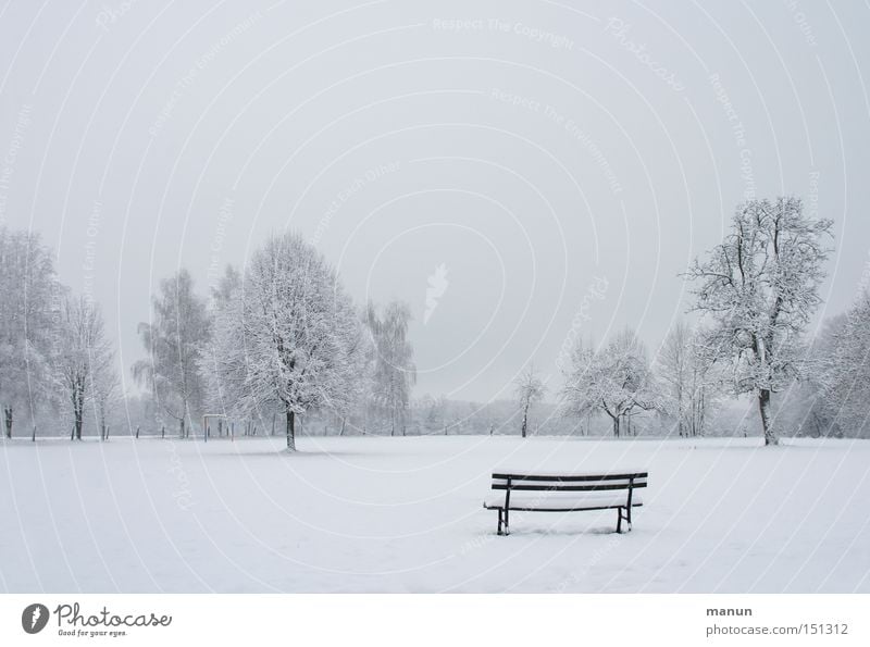 winter Exterior shot Deserted Copy Space left Copy Space top Neutral Background Day Contrast Deep depth of field Relaxation Calm Winter Snow Garden Nature