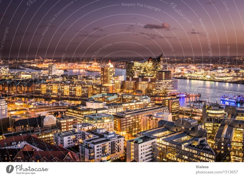 Big City Lights IV Hamburg Night Harbour clearer Sea of light Long exposure Sunset Elbe Illuminated Twilight Elbe Philharmonic Hall