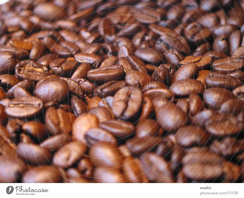 coffee beans Food Nutrition Coffee Espresso Harmonious To enjoy Delicious Near Brown Moody Beans Coffee bean Caffeine Bitter Colour photo Interior shot Close-up