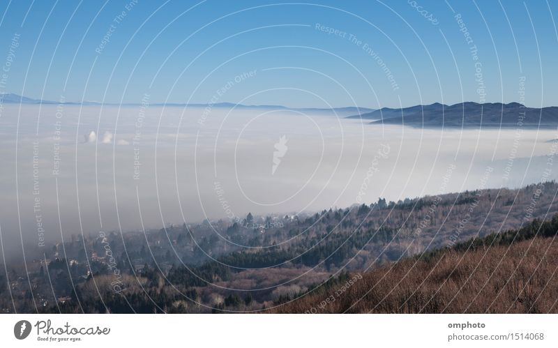 Landscape with a big city covered by a heavy autumn fog. Above the fog is bright and clear blue sky Mountain House (Residential Structure) Nature Sky Autumn Fog